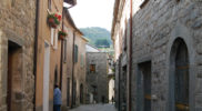Chiedere utilizzo immagine a daniele@danieledei.it