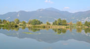 Chiedere utilizzo immagine a daniele@danieledei.it