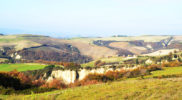 Chiedere utilizzo immagine a daniele@danieledei.it