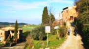Chiedere utilizzo immagine a daniele@danieledei.it