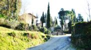 Chiedere utilizzo immagine a daniele@danieledei.it