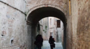 Chiedere utilizzo immagine a daniele@danieledei.it