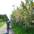 Pista ciclabile Modena Vignola