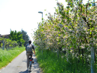 Pista ciclabile Modena Vignola