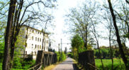 Chiedere utilizzo immagine a daniele@danieledei.it