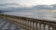 Chiedere utilizzo immagine a daniele@danieledei.it