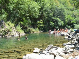 Molino del Pallone