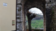 Chiedere utilizzo immagine a daniele@danieledei.it