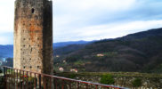 Chiedere utilizzo immagine a daniele@danieledei.it