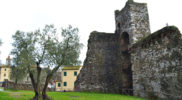 Chiedere utilizzo immagine a daniele@danieledei.it