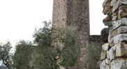 Chiedere utilizzo immagine a daniele@danieledei.it