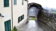 Chiedere utilizzo immagine a daniele@danieledei.it