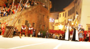 Chiedere utilizzo immagine a daniele@danieledei.it