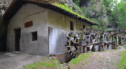 Chiedere utilizzo immagine a daniele@danieledei.it