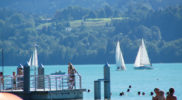 Chiedere utilizzo immagine a daniele@danieledei.it
