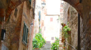 Chiedere utilizzo immagine a daniele@danieledei.it