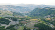 Chiedere utilizzo immagine a daniele@danieledei.it