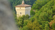 Chiedere utilizzo immagine a daniele@danieledei.it