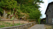 Chiedere utilizzo immagine a daniele@danieledei.it