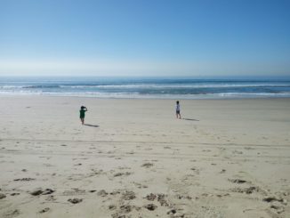 L'infinita spiaggia di San Diego, isola del Coronado - Foto Elena Magini © Su gentile concessione dell'autrice - tutti i diritti riservati