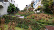 Lombard Street a San Francisco – Foto Elena Magini © Su gentile concessione dell’autrice – tutti i diritti riservati