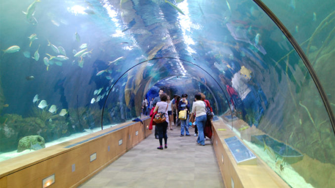 Acquario di Valencia