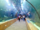 Acquario di Valencia