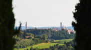Chiedere utilizzo immagine a daniele@danieledei.it
