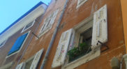 Chiedere utilizzo immagine a daniele@danieledei.it