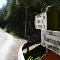 Trekking Castra Vecchia - Capraia e Limite