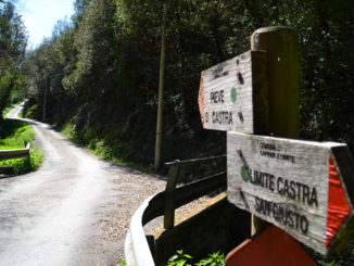 Trekking Castra Vecchia - Capraia e Limite