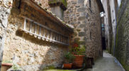 Chiedere utilizzo immagine a daniele@danieledei.it