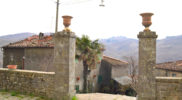 Chiedere utilizzo immagine a daniele@danieledei.it