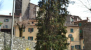 Chiedere utilizzo immagine a daniele@danieledei.it
