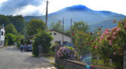 Chiedere utilizzo immagine a daniele@danieledei.it