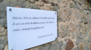 Chiedere utilizzo immagine a daniele@danieledei.it
