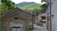 Chiedere utilizzo immagine a daniele@danieledei.it