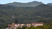 Chiedere utilizzo immagine a daniele@danieledei.it