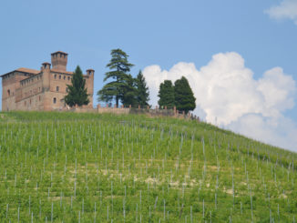 Strada Panoramica delle Langhe