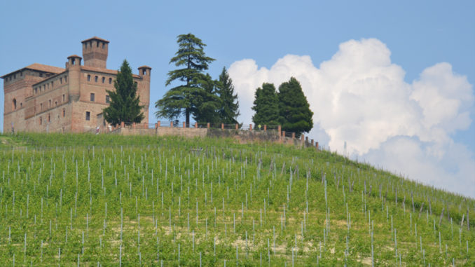 Strada Panoramica delle Langhe