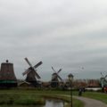 Zaanse Schans (foto Elena Magini per Girosognando.it)