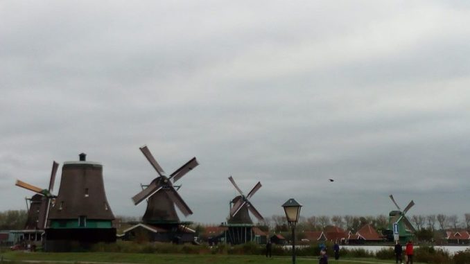 Zaanse Schans (foto Elena Magini per Girosognando.it)