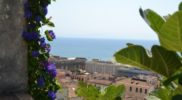 Salerno Giardino della Minerva verticale